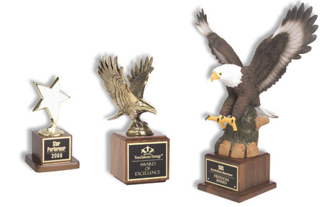 Star & Eagle Specialty Corporate Awards